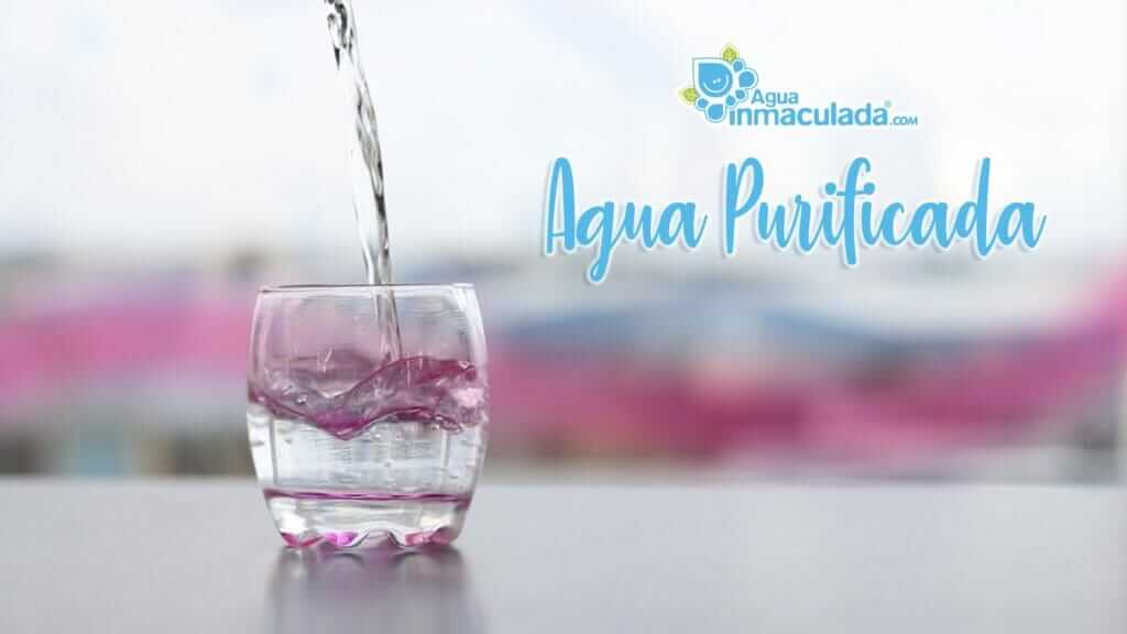 Agua purificada
