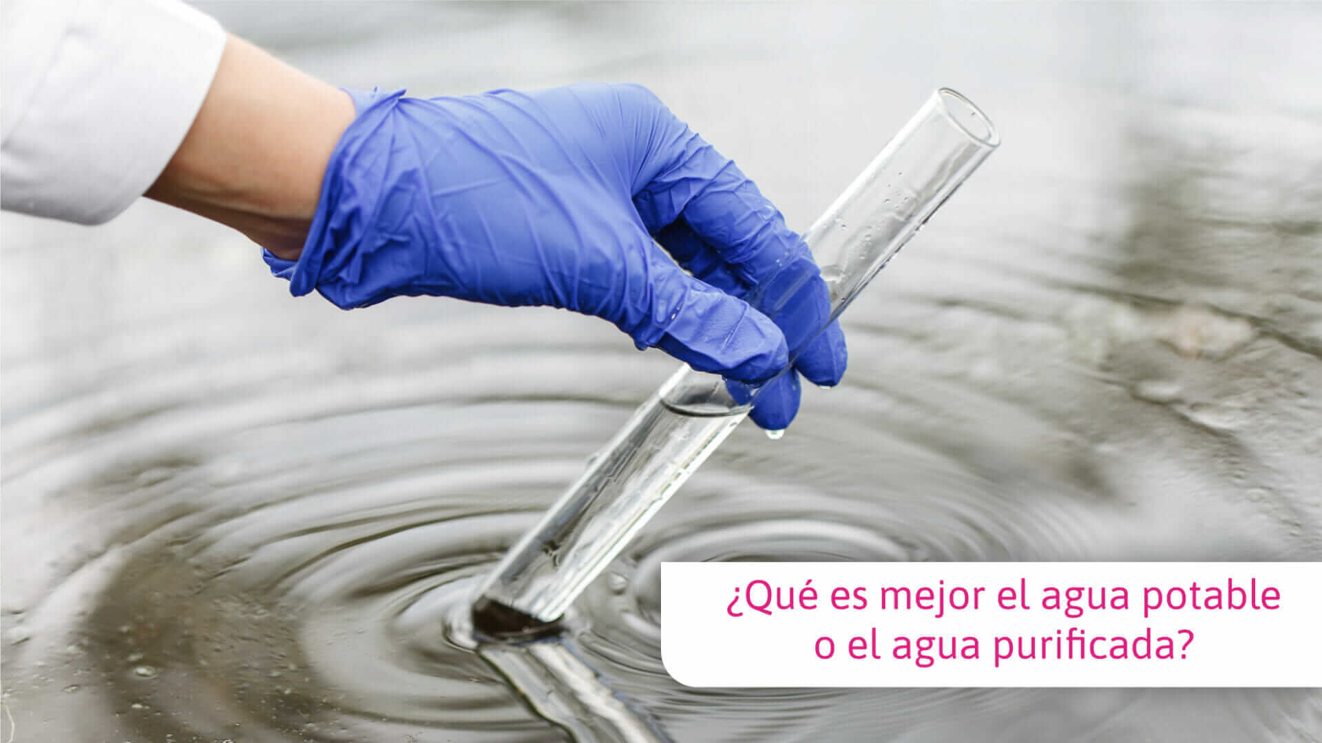Diferencia Entre Agua Potable Y Agua Purificada www.aguainmaculada.com