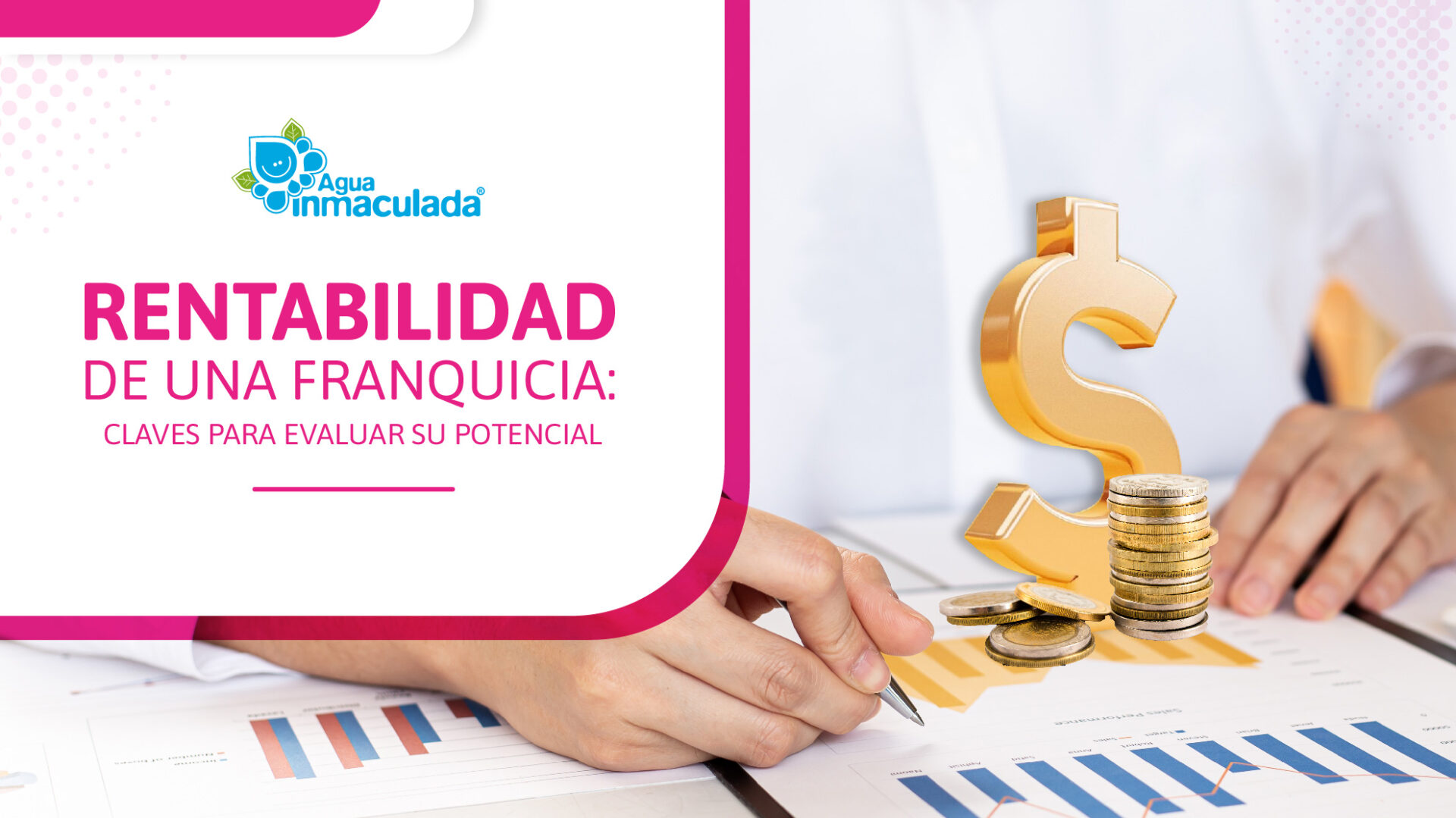 Rentabilidad de una franquicia
