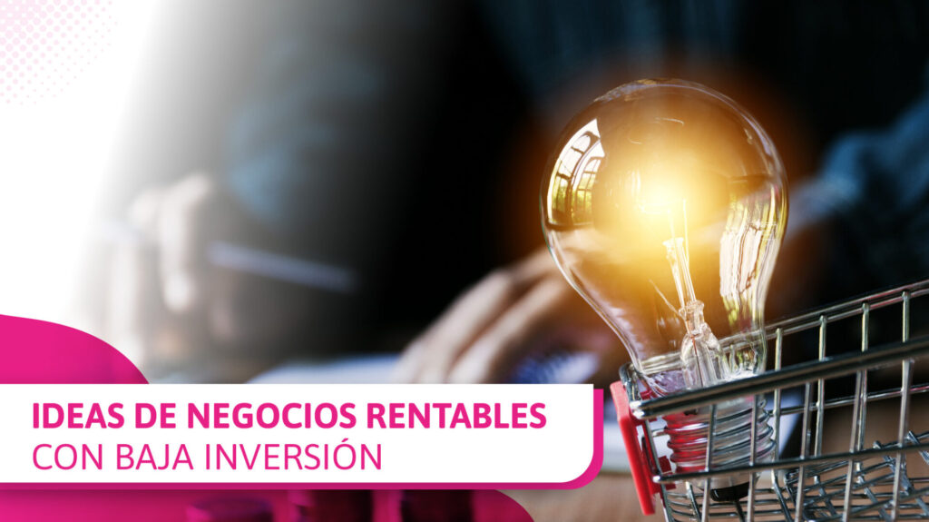 Opciones de negocios rentables