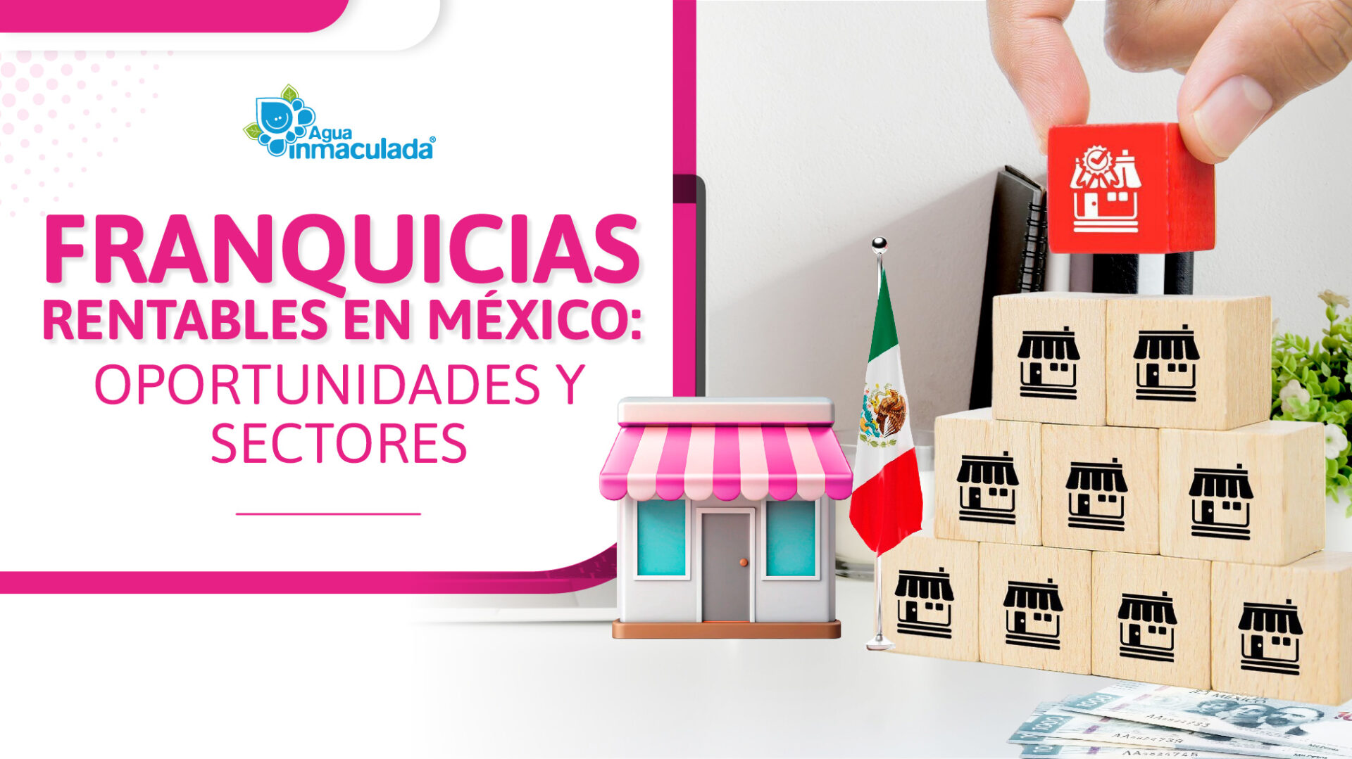 Invierte en franquicias rentables