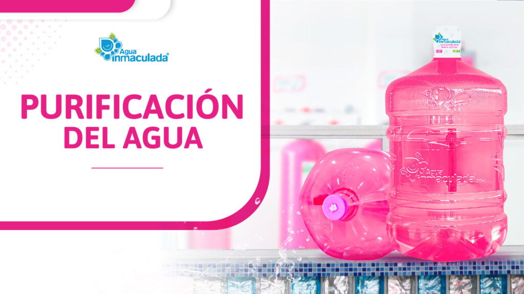 Purificación del agua