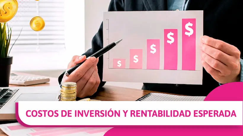 Costos de inversión y rentabilidad esperada